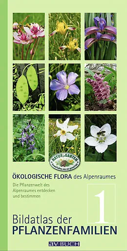 E-Book (epub) Ökologische Flora des Alpenraumes, Band 1 von Wolfgang Holzner, Wolfgang Adler, Matthias Kropf
