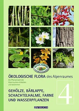 E-Book (epub) Ökologische Flora des Alpenraumes, Band 4 von Wolfgang Holzner, Wolfgang Adler, Matthias Kropf