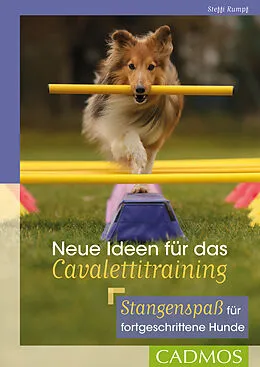 E-Book (epub) Neue Ideen für das Cavalettitraining von Steffi Rumpf