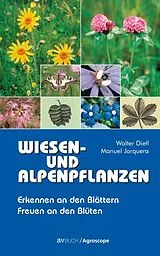Fester Einband Wiesen- und Alpenpflanzen von Walter Dietl, Manuel Jorquera