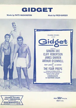 E-Book (pdf) Gidget von Fred Karger, Patti Washington