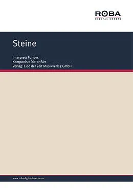 E-Book (pdf) Steine von Dieter Birr, Wolfgang Tilgner