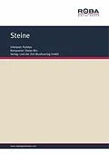 E-Book (epub) Steine von Dieter Birr, Wolfgang Tilgner