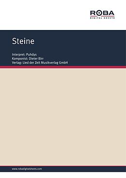E-Book (epub) Steine von Dieter Birr, Wolfgang Tilgner