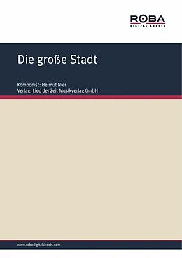 E-Book (epub) Die große Stadt von Helmut Nier, Willy Schüller