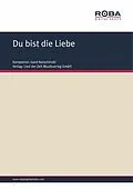 E-Book (pdf) Du bist die Liebe von Gerd Natschinski, Rudolf-Günter Loose