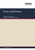 E-Book (epub) Feuer und Flamme von Walter Kubiczeck