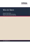 E-Book (pdf) Wie ein Stern von Dieter Lietz
