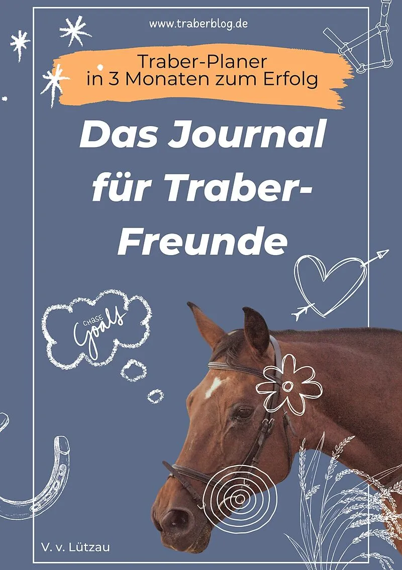 Traber-Planer - in 3 Monaten zum Erfolg