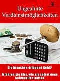 E-Book (epub) Ungeahnte Verdienstmöglichkeiten von Hubert Huber