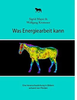 E-Book (epub) Was Energiearbeit kann von Sigrid Mayer, Wolfgang Kromoser