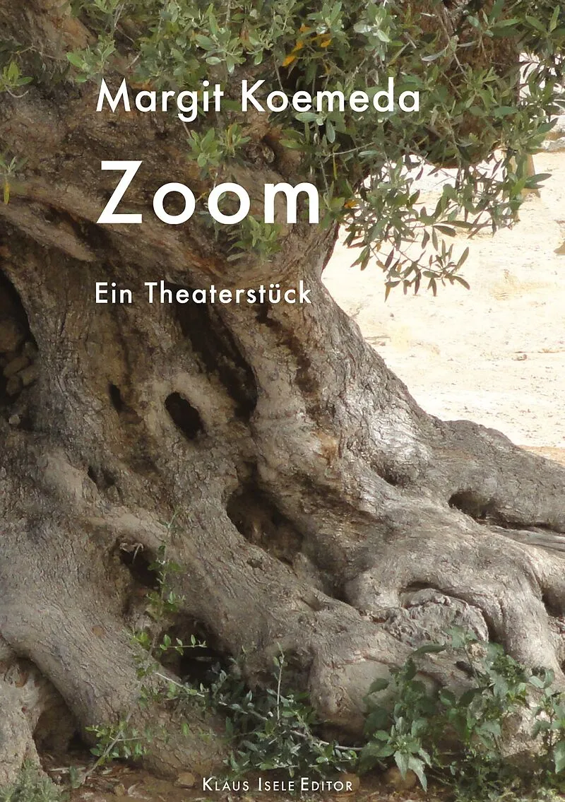 Zoom