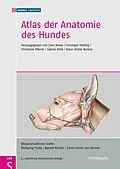 PDF Atlas der Anatomie des Hundes von BUDRAS ANATOMIE