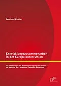 E-Book (pdf) Entwicklungszusammenarbeit in der Europäischen Union: EU-Förderungen für Nichtregierungsorganisationen am Beispiel von "Nuestros Pequeños Hermanos" von Bernhard Pichler