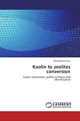 Kartonierter Einband Kaolin to zeolites conversion von Abdulsalami Kovo
