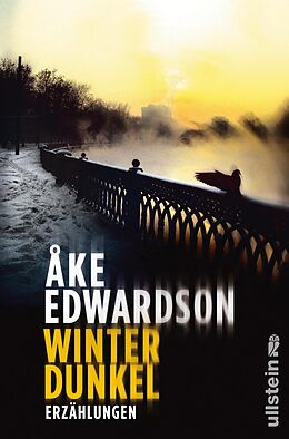 E-Book (epub) Winterdunkel von Åke Edwardson