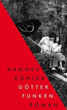 E-Book (epub) Götterfunken von Hannes Köhler