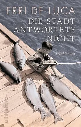 E-Book (epub) Die Stadt antwortete nicht von Erri De Luca