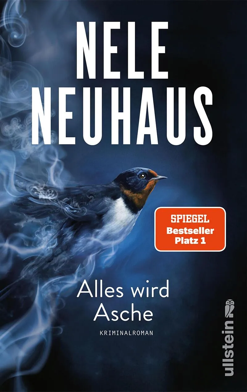 Alles wird Asche (Ein Bodenstein-Kirchhoff-Krimi 12)