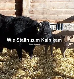 E-Book (epub) Wie Stalin zum Kalb kam von Dirk Bausch