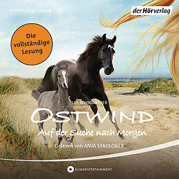 Audio Download Ostwind - Auf der Suche nach Morgen von Schmidbauer, Lea