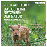Audio CD (CD/SACD) Das geheime Netzwerk der Natur von Peter Wohlleben