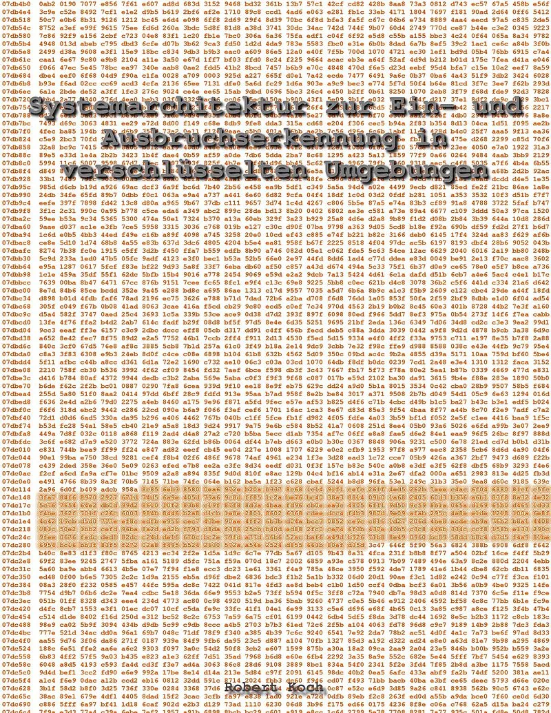 Systemarchitektur zur Ein- und Ausbruchserkennung in verschlüsselten Umgebungen
