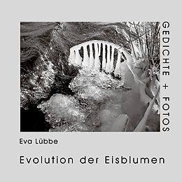 E-Book (epub) Evolution der Eisblumen von Eva Lübbe