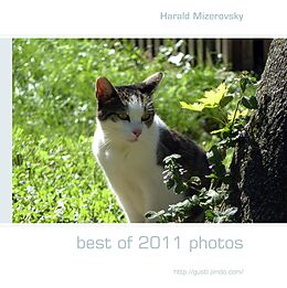 eBook (epub) best of 2011 photos de Harald Mizerovsky