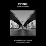 eBook (epub) #bridges de 