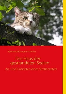E-Book (epub) Das Haus der gestrandeten Seelen von Katharina Kampen