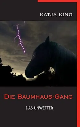 E-Book (epub) Die Baumhaus-Gang - Das Unwetter von Katja King