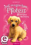 E-Book (epub) Auf magischen Pfoten  Zauberhafter Neuanfang von Sue Bentley