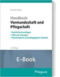 E-Book (pdf) Handbuch Vormundschaft und Pflegschaft (E-Book) von Kerstin Held, Ute Kuleisa-Binge, Helen Sundermeyer