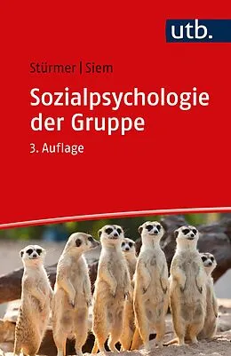 E-Book (epub) Sozialpsychologie der Gruppe von Stefan Stürmer, Birte Siem