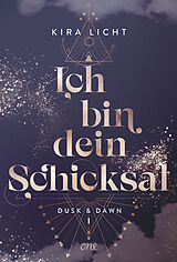 Fester Einband Ich bin dein Schicksal von Kira Licht