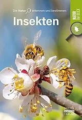 Kartonierter Einband Insekten von