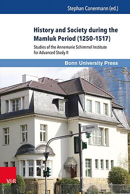 eBook (pdf) History and Society during the Mamluk Period (1250-1517) de 