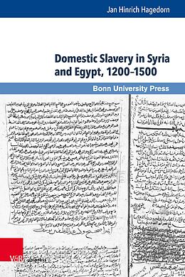 eBook (pdf) Domestic Slavery in Syria and Egypt, 1200-1500 de Jan Hinrich Hagedorn