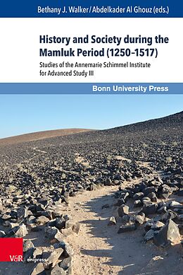 eBook (pdf) History and Society during the Mamluk Period (1250-1517) de Bethany J. Walker, Abdelkader Al Ghouz