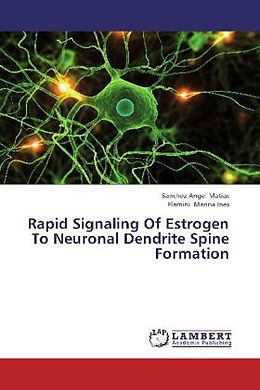 Kartonierter Einband Rapid Signaling Of Estrogen To Neuronal Dendrite Spine Formation von Sanchez Angel Matias, Flamini Marina Ines