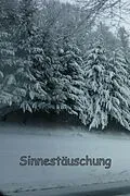 E-Book (epub) Sinnestäuschung von O. Trilling