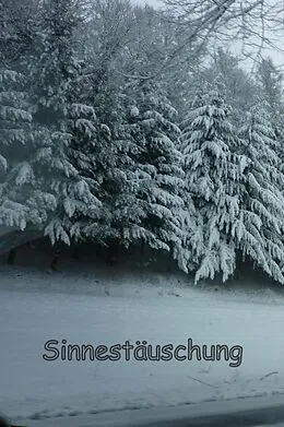 E-Book (epub) Sinnestäuschung von O. Trilling