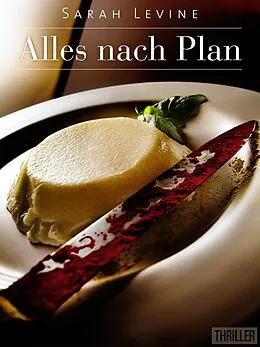 E-Book (epub) Alles nach Plan von Sarah Levine
