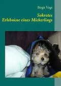 E-Book (epub) Sokrates von Birgit Vogt