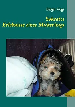 E-Book (epub) Sokrates von Birgit Vogt