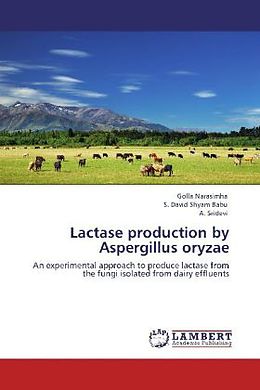 Kartonierter Einband Lactase production by Aspergillus oryzae von Golla Narasimha, S. David Shyam Babu, A. Sridevi