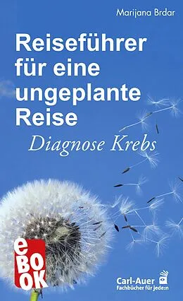 E-Book (epub) Reiseführer für eine ungeplante Reise von Marijana Brdar