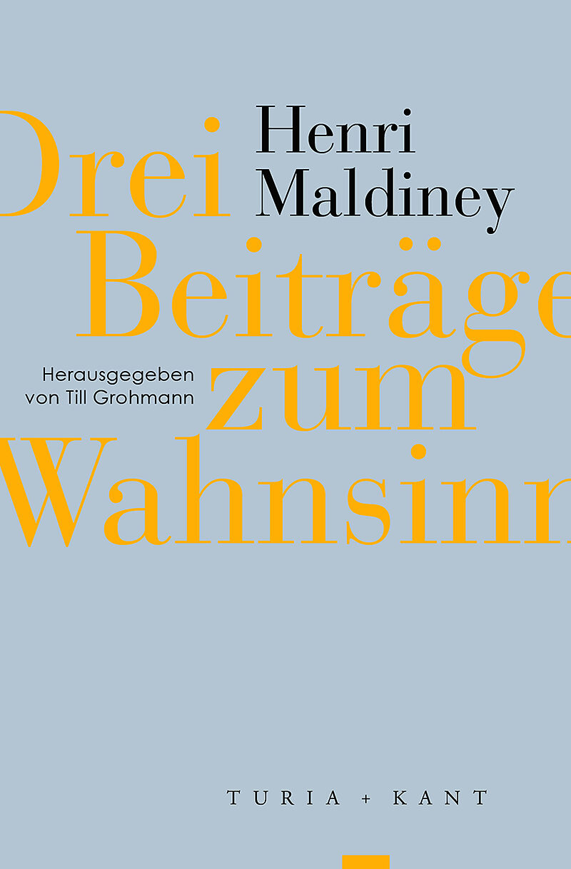 Drei Beiträge zum Wahnsinn