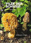 Fester Einband Pilze der Schweiz 01. Ascomyceten von Josef Breitenbach, Fred Kränzlin